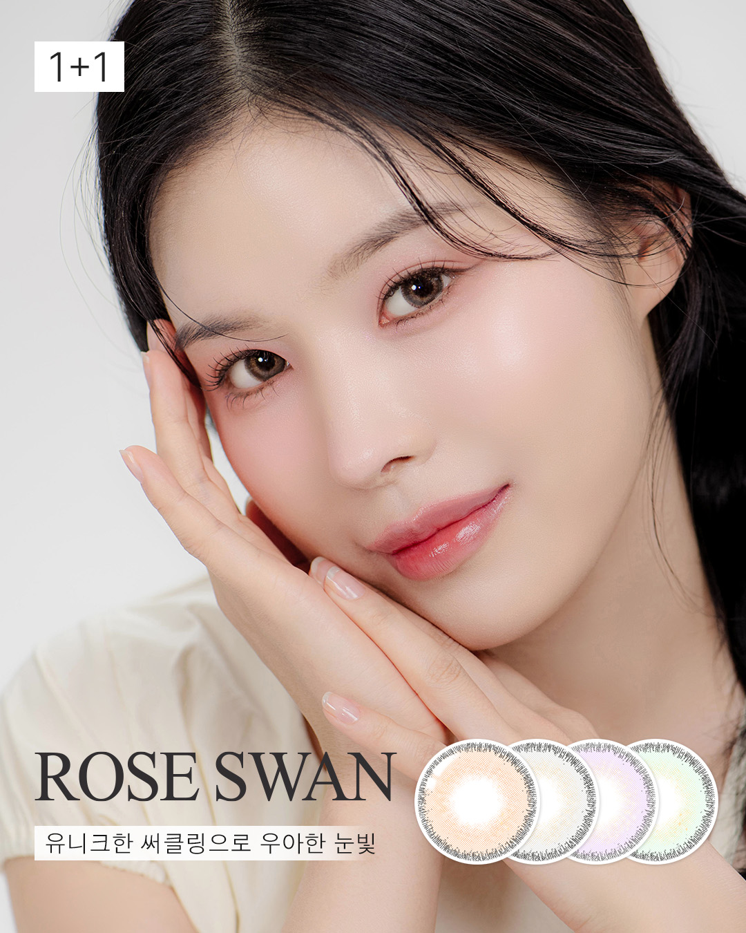 로즈스완 / Rose Swan